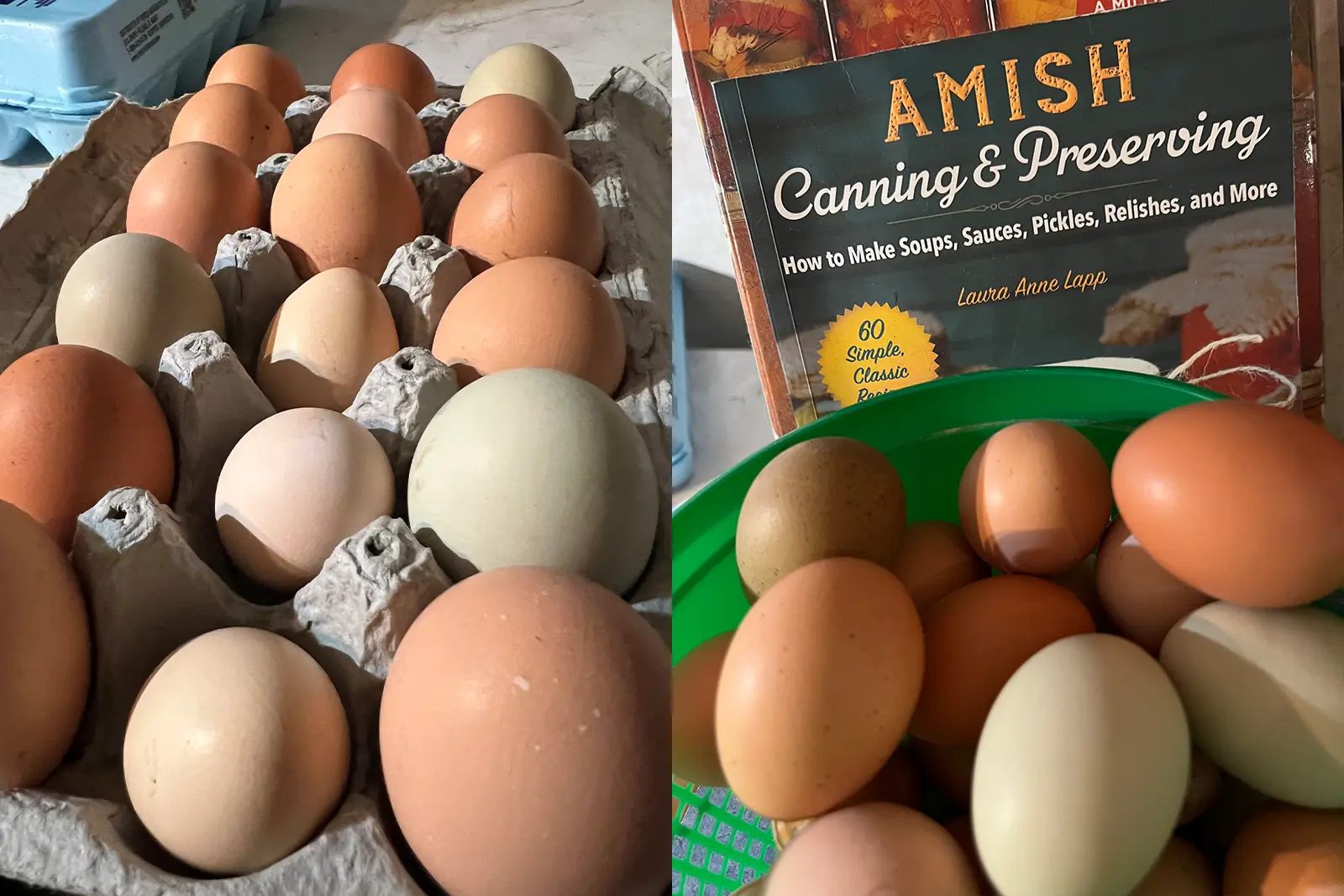 Basket of farm fresh eggs from Peacock Acres in Richlands, North Carolina